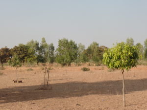 a village on the outskirts of Ouagadougou where Myra's Wells has drilled a well