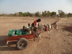 well at Dapelgo in Burkina Faso which Myra's Wells provided 2 years ago 4