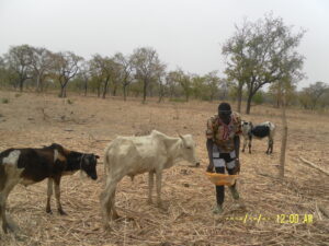 aiming for 100 wells providing clean water in Burkina Faso 1